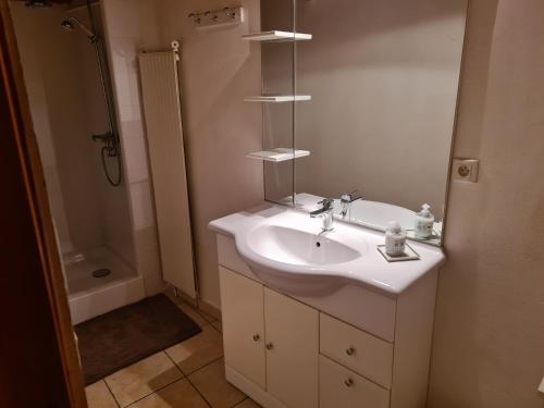 uma casa de banho com um lavatório, um espelho e um chuveiro em Gite de l'Ours em Saint-Mamet