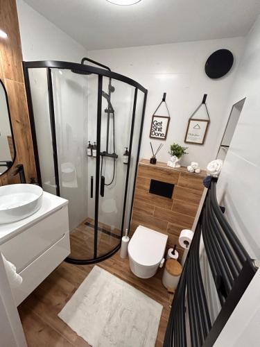 a bathroom with a shower and a toilet at Luxury Apartment PECKA in city centre in Martin