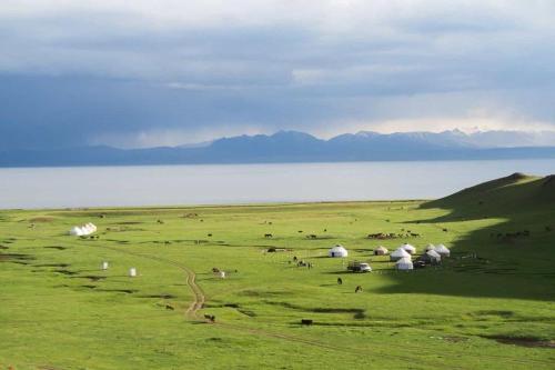 a herd of animals grazing in a green field with a lake at Guest House Bereke in Kyzart village in Bagysh