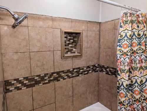 a bathroom with a shower curtain and a window at Glenwood Haus in Wichita Falls