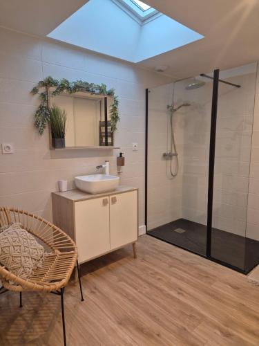 une salle de bain avec un lavabo et une douche avec un miroir dans l'établissement Villa Terre & Mer avec piscine intérieure proche Cabourg, à Escoville