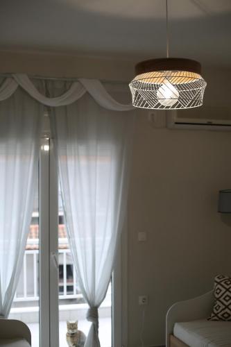 a cat sitting in front of a window with curtains at Our Home-Fully renovated apartments and studios by the sea in Nikiti