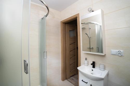 a bathroom with a sink and a shower with a mirror at Apartament Na Bajkowej in Busko-Zdrój