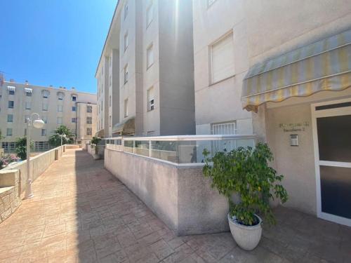 a building with a potted plant next to a building at Apartamento Calalbir in Albir