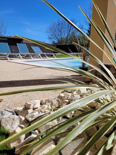 a plant in front of a building next to a building at Maison des libellules de dugradus in Aubenas