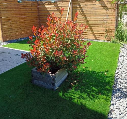 Zahrada ubytování Mini Apartamento de 30 mts en Chaves