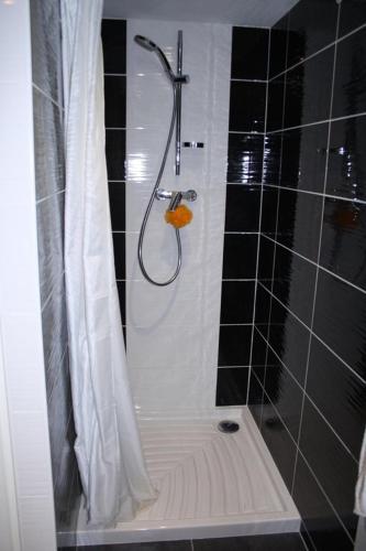 une salle de bain avec une douche avec un rideau de douche dans l'établissement Logement des pivoines, à Rouillé