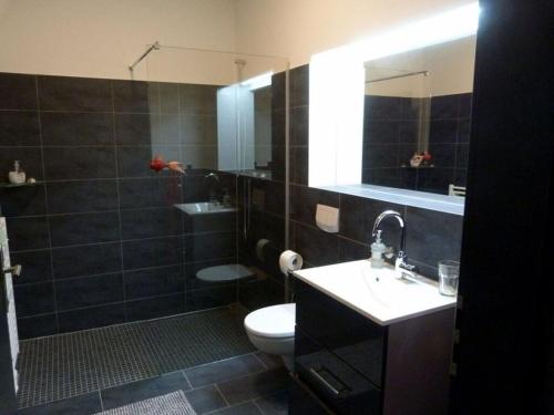 a bathroom with a toilet and a sink and a mirror at Toad 5 on the Soederbring in Waddeweitz