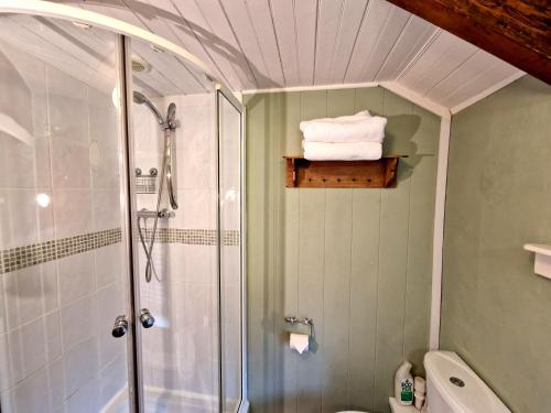 ein Bad mit einer Dusche, einem WC und Handtüchern in der Unterkunft Arwel in New Quay