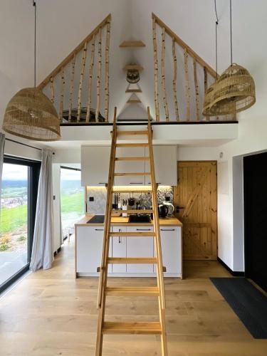 a ladder in a kitchen with a loft bed at Czarne Ptaszki in Szlembark