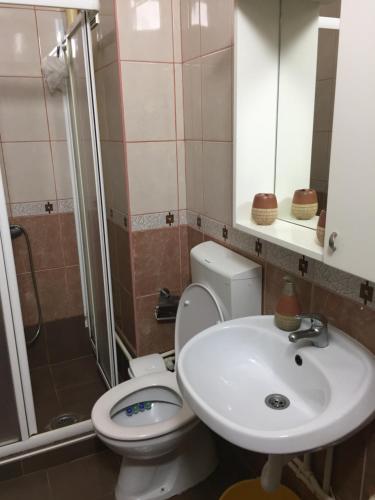 uma casa de banho com um WC, um lavatório e um chuveiro em Apartman Spasic em Ribarska Banja