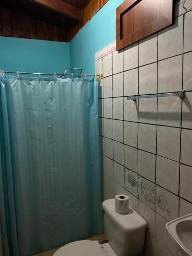 y baño con aseo, ducha y lavamanos. en Corcovado Hostel, en Puerto Jiménez