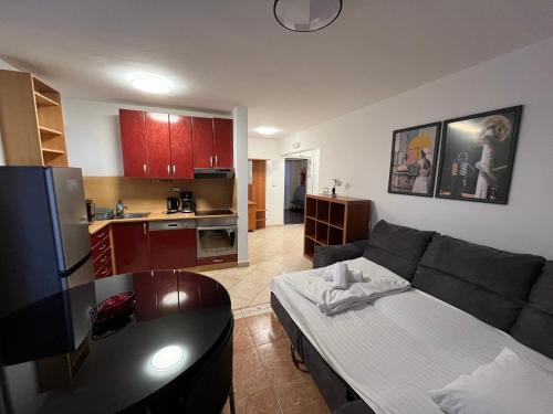 Il comprend un salon avec un canapé et une cuisine. dans l'établissement Apartments Puntamika, à Zadar