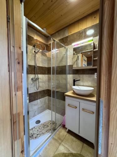 y baño con ducha y lavamanos. en Domki całoroczne KATRINA, en Krynica Morska