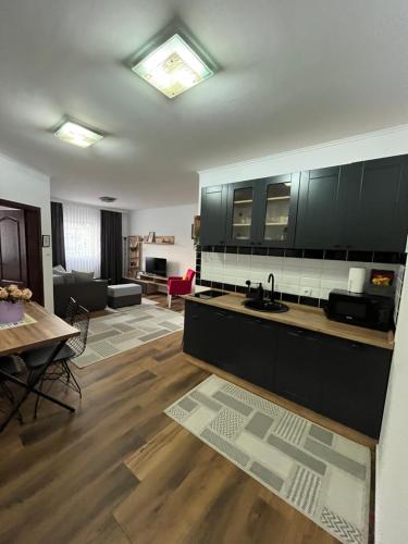 Кухня или мини-кухня в Airport SKY apartments LUX
