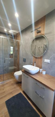 Beskidzki Zakątek Ustroń في أوسترون: حمام مع حوض ومرحاض ومرآة
