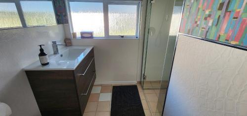 a bathroom with a sink and a shower at MnM's BnB in Napier