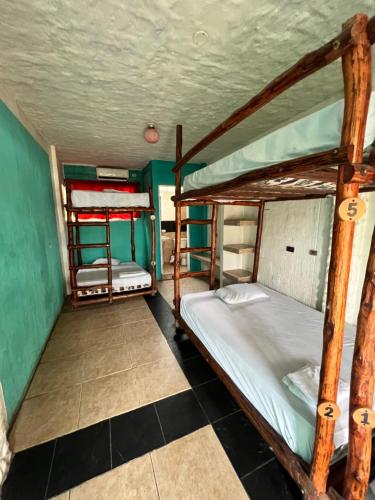 2 literas en una habitación con paredes verdes en KIWi MONTAÑITA, en Montañita