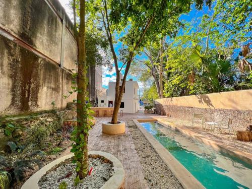 a house with a swimming pool and trees in it at Casa Xaan - Paraiso en Valladolid in Valladolid