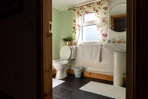 baño con aseo y lavabo y ventana en Carna Chalet, en Galway