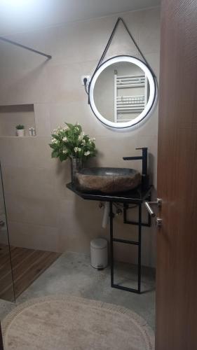 bagno con specchio e lavandino con pianta di Zlatna Jabuka Lux a Prijepolje