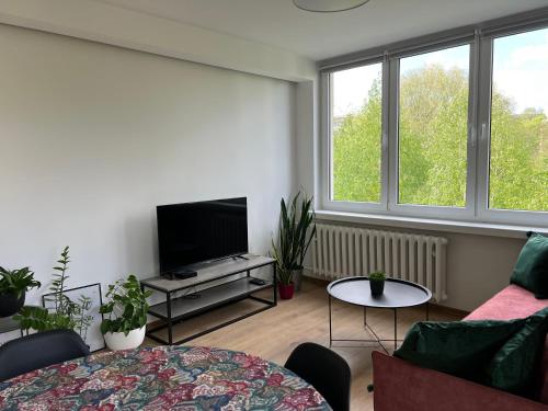 uma sala de estar com uma televisão de ecrã plano e algumas plantas em Apartament Skośna 10 em Bielsko-Biala