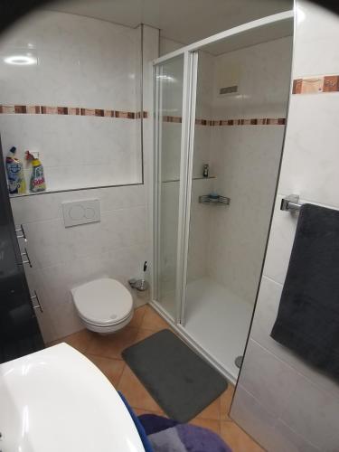 een badkamer met een douche en een toilet bij Ferienwohnung mit überdachten Sitzplatz im Garten in Bad Soden-Salmünster