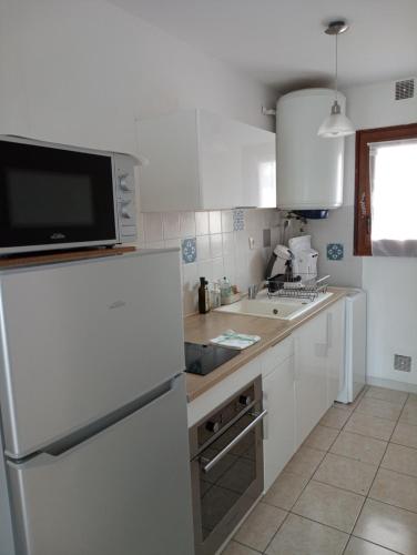 une cuisine avec un réfrigérateur blanc et un évier dans l'établissement Appartement Côté Rocher, à La Garde