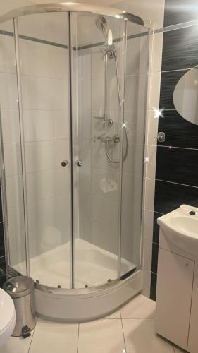 a shower with a glass door in a bathroom at W Starym Kinie in Ustka