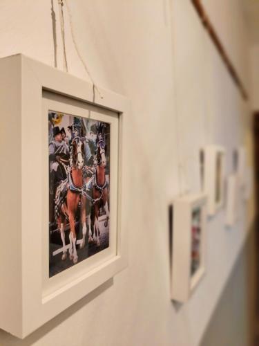 Gambar di galeri bagi Ca' di Rosy di Ivrea