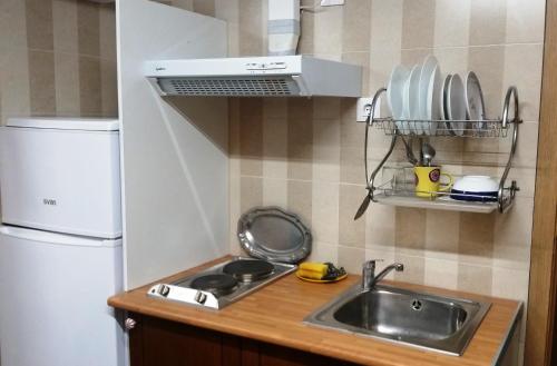 una pequeña cocina con fregadero y nevera. en Coliving 87 Estudio Numero 10 en Hospitalet de Llobregat