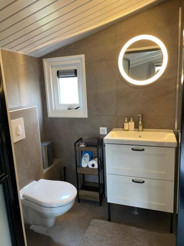 een badkamer met een toilet, een wastafel en een spiegel bij De Rode Zonnehoed in Scherpenzeel