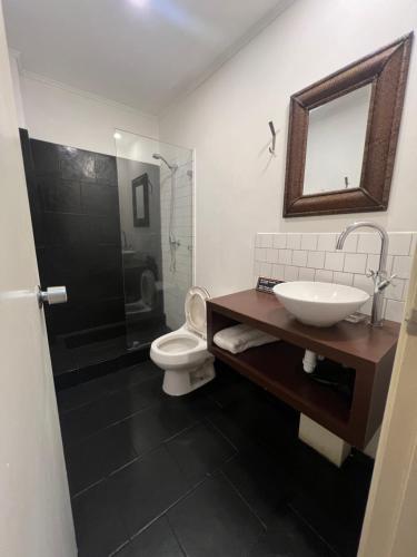 a bathroom with a sink and a toilet and a shower at APARTHOTEL POVIDENCIA Santiago in Santiago