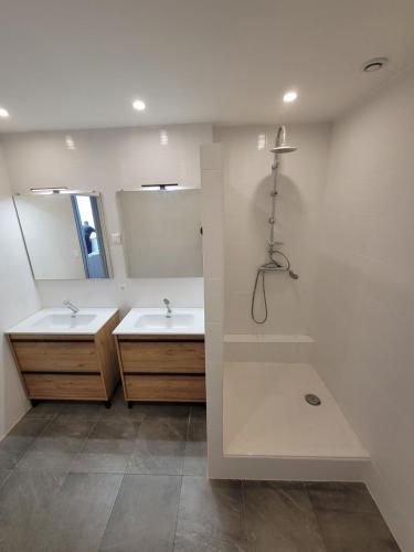 une salle de bain avec deux lavabos et deux miroirs dans l'établissement Chambres spacieuses hyper centre, à Saint-Étienne