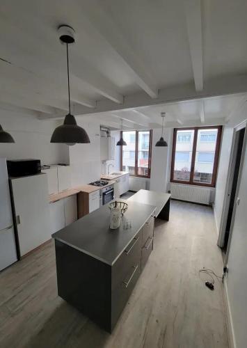 une grande cuisine blanche avec une grande île dans l'établissement Chambres spacieuses hyper centre, à Saint-Étienne