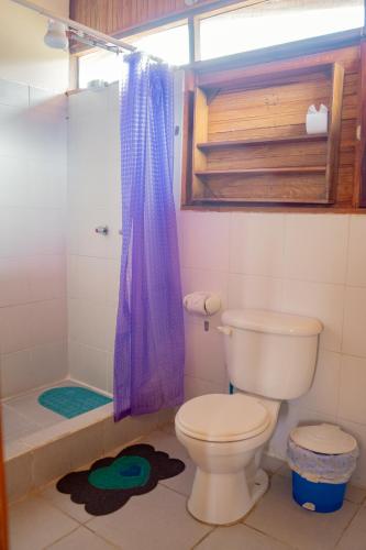 a bathroom with a toilet and a shower at Cabañas Anzu in Santa Clara