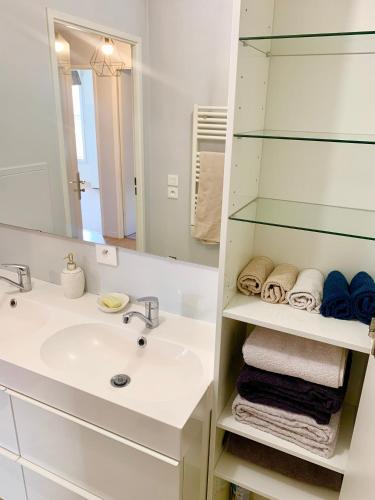 une salle de bain avec un lavabo, un miroir et des serviettes dans l'établissement Appartement spacieux, à Drancy