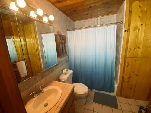 Ванна кімната в Knotty Pines Lodge