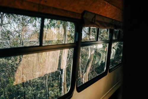 a view of a window in a room with trees at Bus & Hot Tub Secluded Eco Forest Retreat in Bagdad
