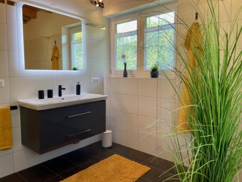 uma casa de banho com um lavatório e um espelho em Villa Kolberg em Finkenstein