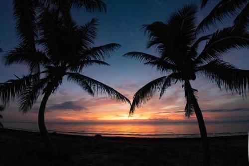 two palm trees on a beach at sunset at Margarita del Sol Hotel Costa Maya in Mahahual