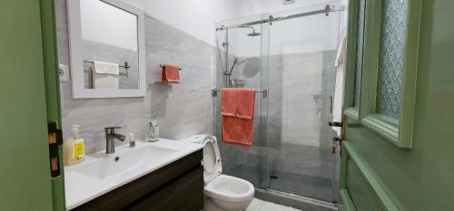 a bathroom with a sink and a toilet and a shower at Casinha Nova - Entire Home in Sao Filipe in São Filipe