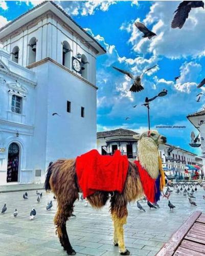 uma pintura de um camelo em frente a um edifício em Belen em Popayán
