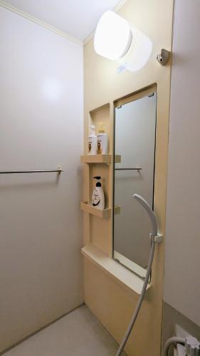 a bathroom with a mirror and a sink at Animal Art Apartment 201 in Ogikubo