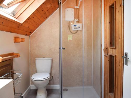 a bathroom with a toilet and a shower at Court House in Halsall