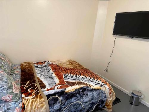 a bedroom with a couch and a flat screen tv at Room J Divine Villa and Resorts 5mins to EWR Airport and 4mins to Penn Station Newark, New York in Newark