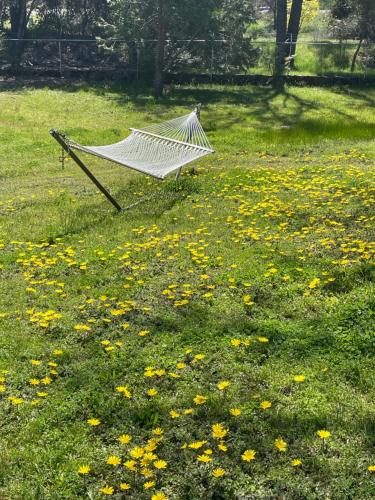 a hammock sitting in a field of grass with flowers at Sierra Sunset Cottage -Yosemite area vacation cottage in Ahwahnee