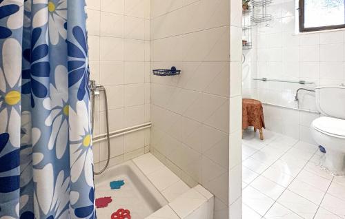 a bathroom with a shower and a toilet at Nice Home In Theologos With Wi-fi in Theológos