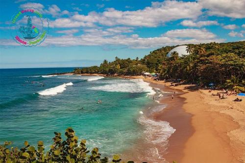 una playa con gente en el agua y una cometa en Porta del Sol ~Less than 1 m to center of town! en San German