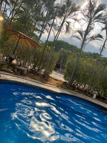 a swimming pool with an umbrella and palm trees at Hotel Nacaome Blue Zone in Tapantí